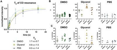 Biomolecular Perturbations in In-Cell Dynamic Nuclear Polarization Experiments